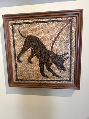 WhatsApp Image 2024-06-01 at 21.53.38 (1)